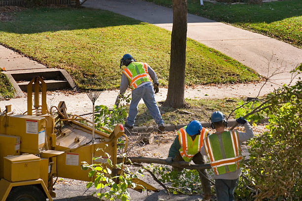 Best Lawn Drainage Solutions  in Fort Pierce South, FL